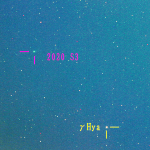 エラスムス彗星(2020S3) 11月24日 200mm