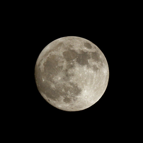 ビーバームーン(月齢 14.3)