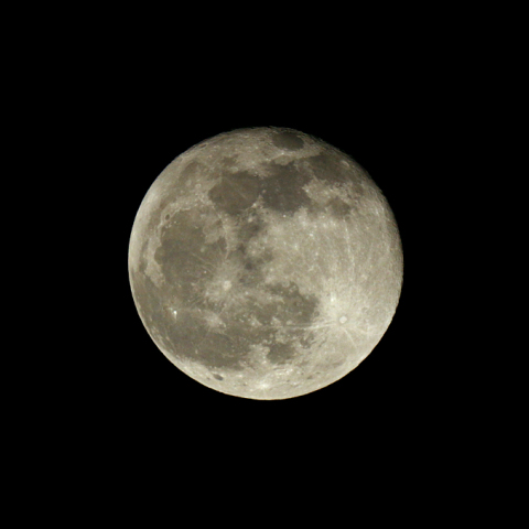 立待月(月齢16.2)