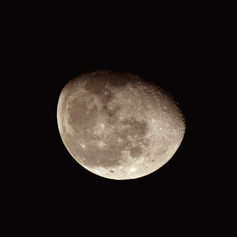 更待月(月齢19.4)