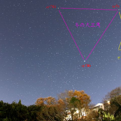 冬の大三角