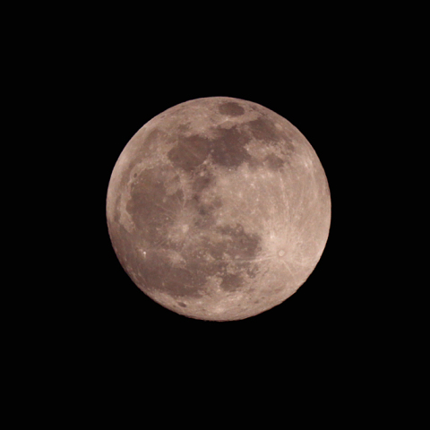 十五夜(月齢14.8)