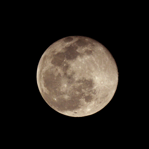 立待月(月齢16.3)