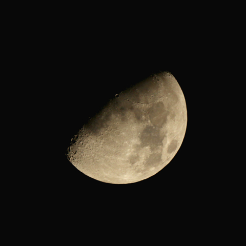 十日夜(月齢 9.7)