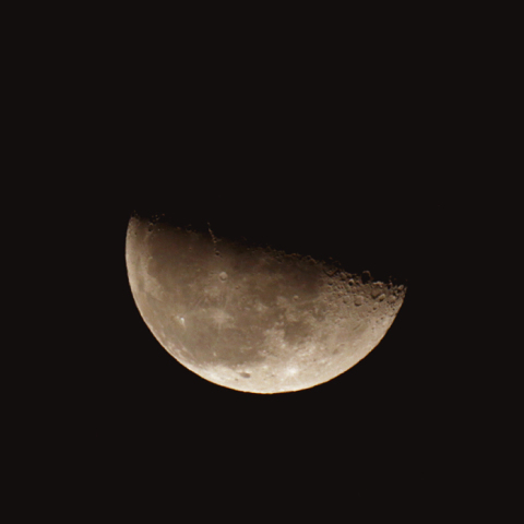 下弦の月(月齢22.2)