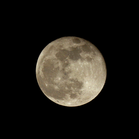 十六夜(月齢 15.6)