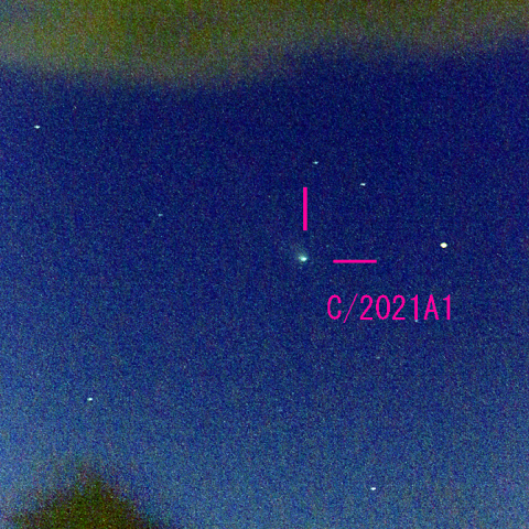 レナード彗星（C/2021A1）12月19日　300mm