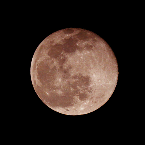 立待月(月齢16.3)