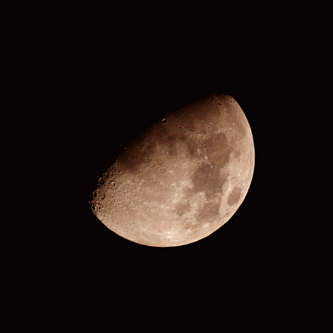 十日夜(月齢 9.8)