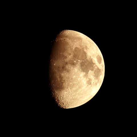 十日夜(月齢9.7)