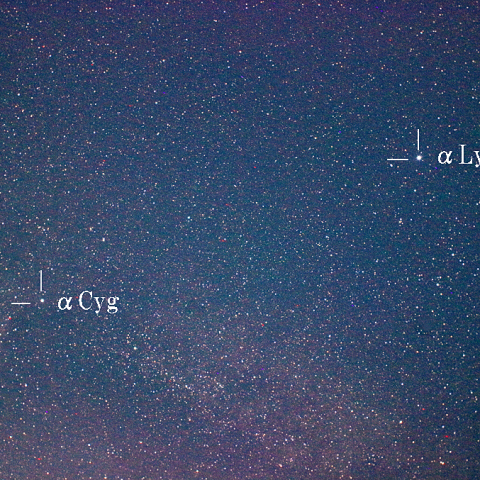 見上げてごらん夜の星を～天の川(はくちょう座付近)～