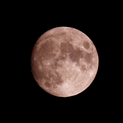 十三夜(月齢 12.5)