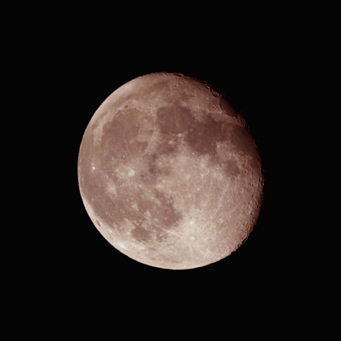 立待月(月齢16.8)