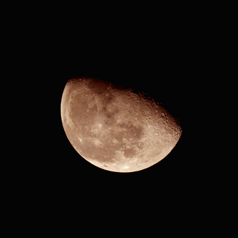 更待月(月齢19.7)