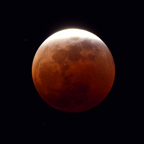 ターコイズフリンジ