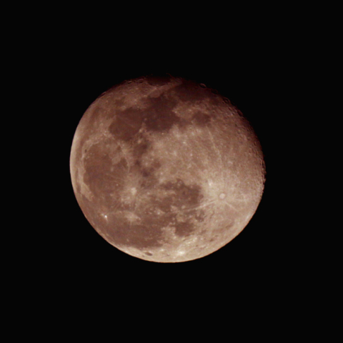 立待月(月齢 16.6)