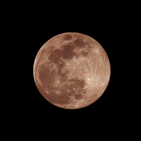 ウルフムーン(月齢 14.1)