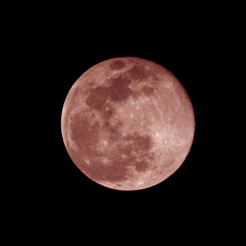 十六夜(月齢 15.1）