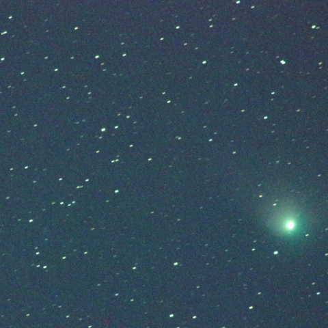 ズィーティーエフ彗星（C/2022 E3）1月29日　300mm