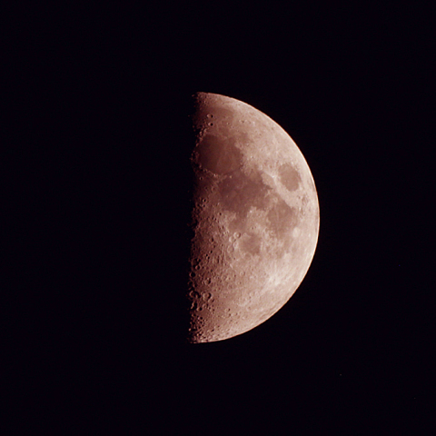 上弦の月(月齢7.2)