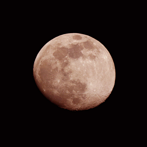 十三夜(月齢 12.8) 