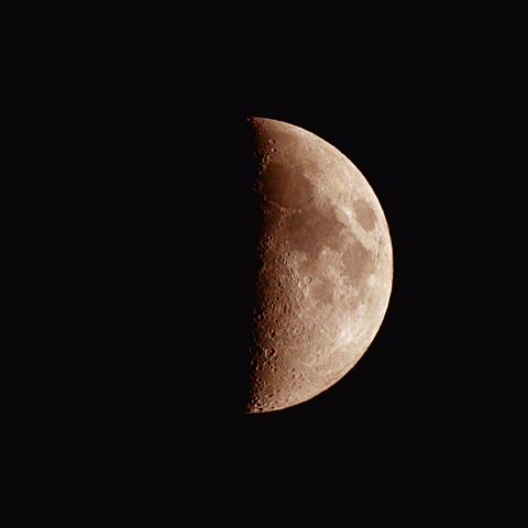 上弦の月(月齢7.3)