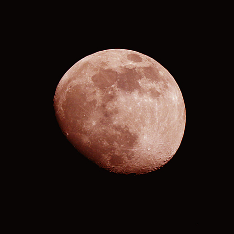 十三夜(月齢 12.3)