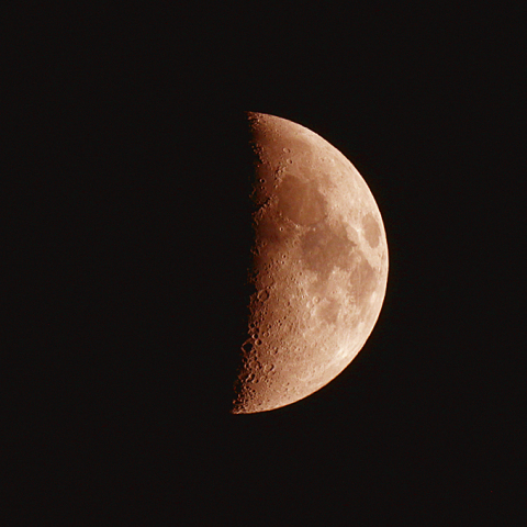 上弦の月(月齢7.7)