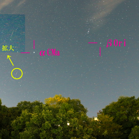 オリオン座流星群  ①