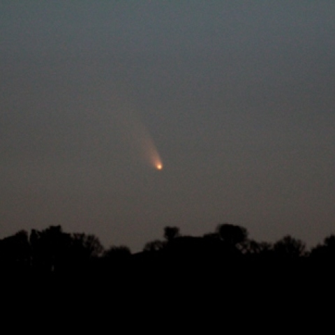 勇姿を増し、山際に沈むパンスターズ彗星