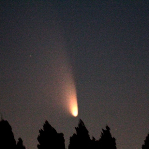 光度を増したパンスターズ彗星