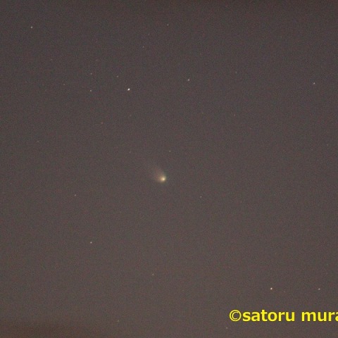 西の空に再び姿を見せたレナード彗星