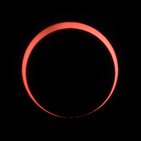 ベイリービーズ