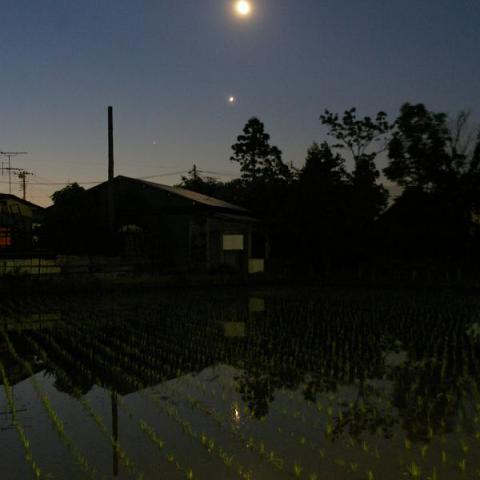 水鏡の月と金星