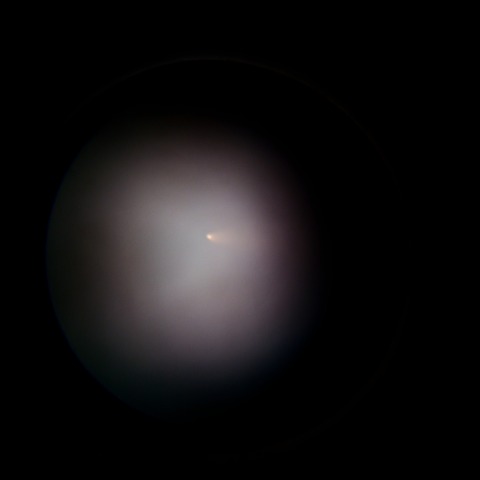 紫金山・アトラス彗星