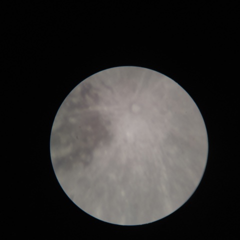 ティコクレーター付近