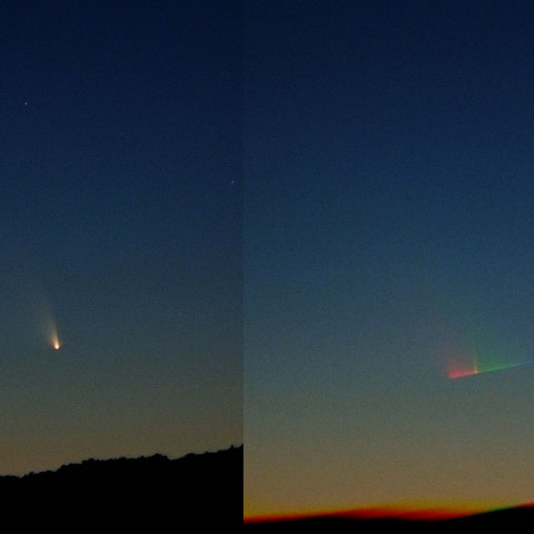 パンスターズ彗星