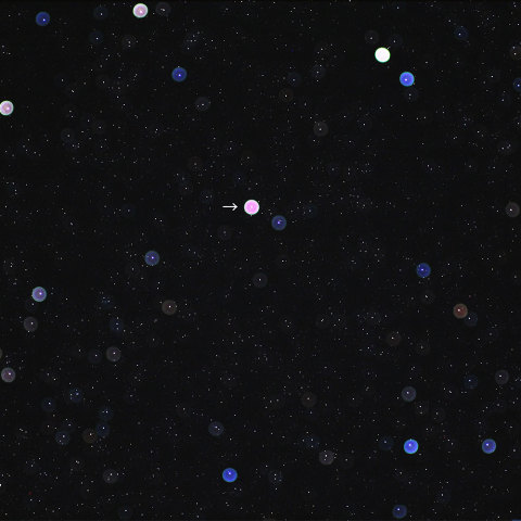 いるか座の新星