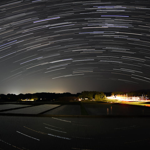 さそりと水田の星