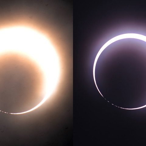 北限界線上のベイリービーズ