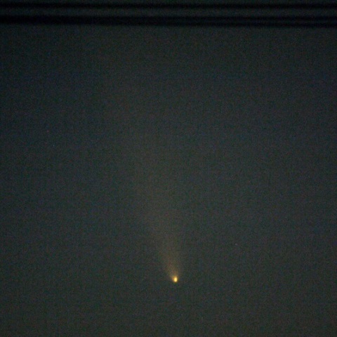 紫金山・アトラス彗星