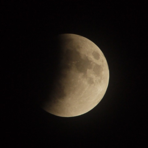 1月31日　皆既月食