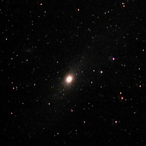 M31