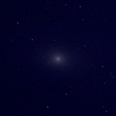 M31