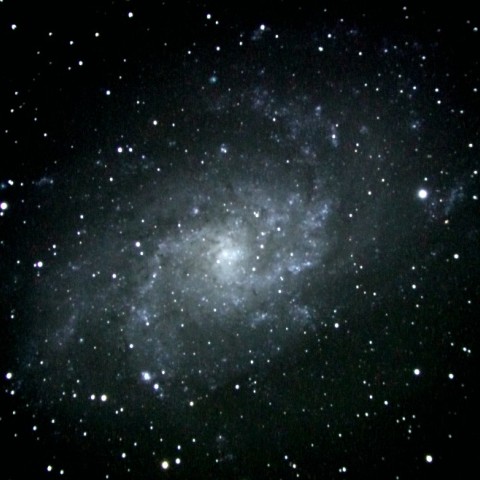 M 33