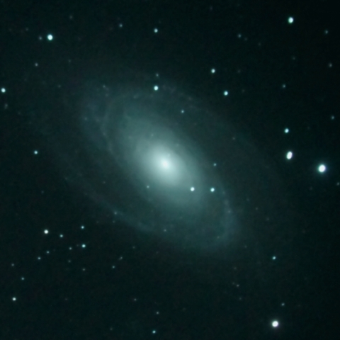 M81