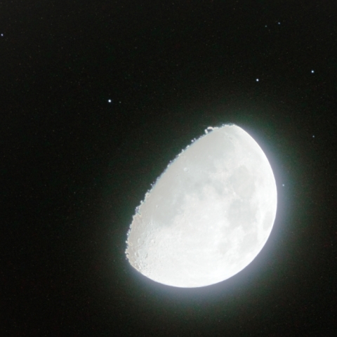 エレクトラ出現