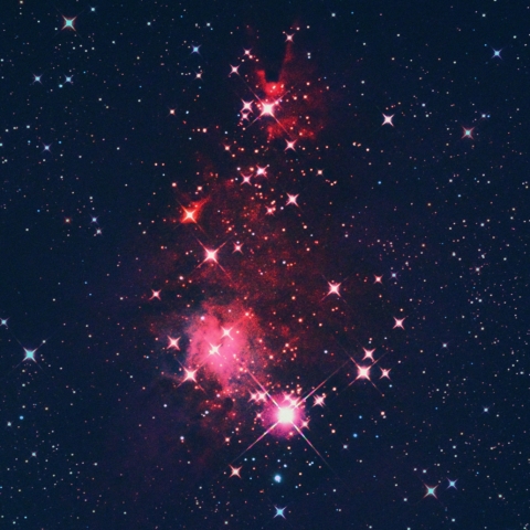 クリスマスツリー