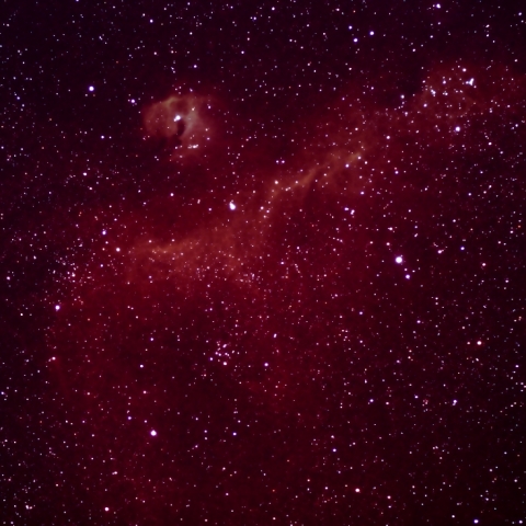 わし星雲　IC2177