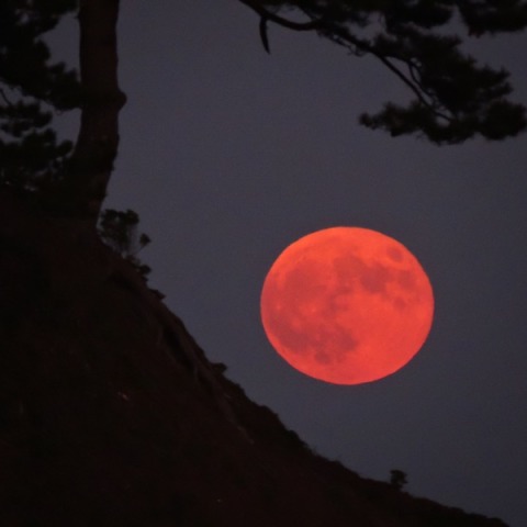 桂浜のスーパームーン